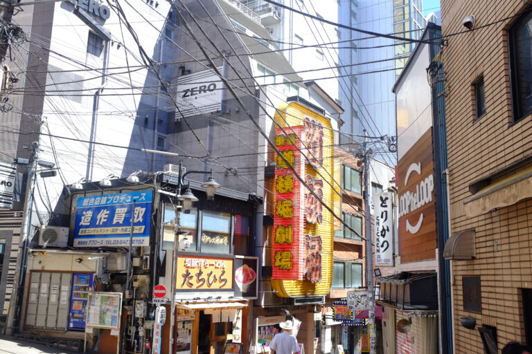 12 Things to Do in Tokyo, Japan: Bustling Neighborhoods & Historical Temples