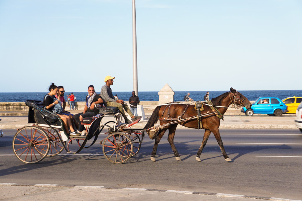 Horse and Buggy Strolling Along El Malecón, Havana, Cuba