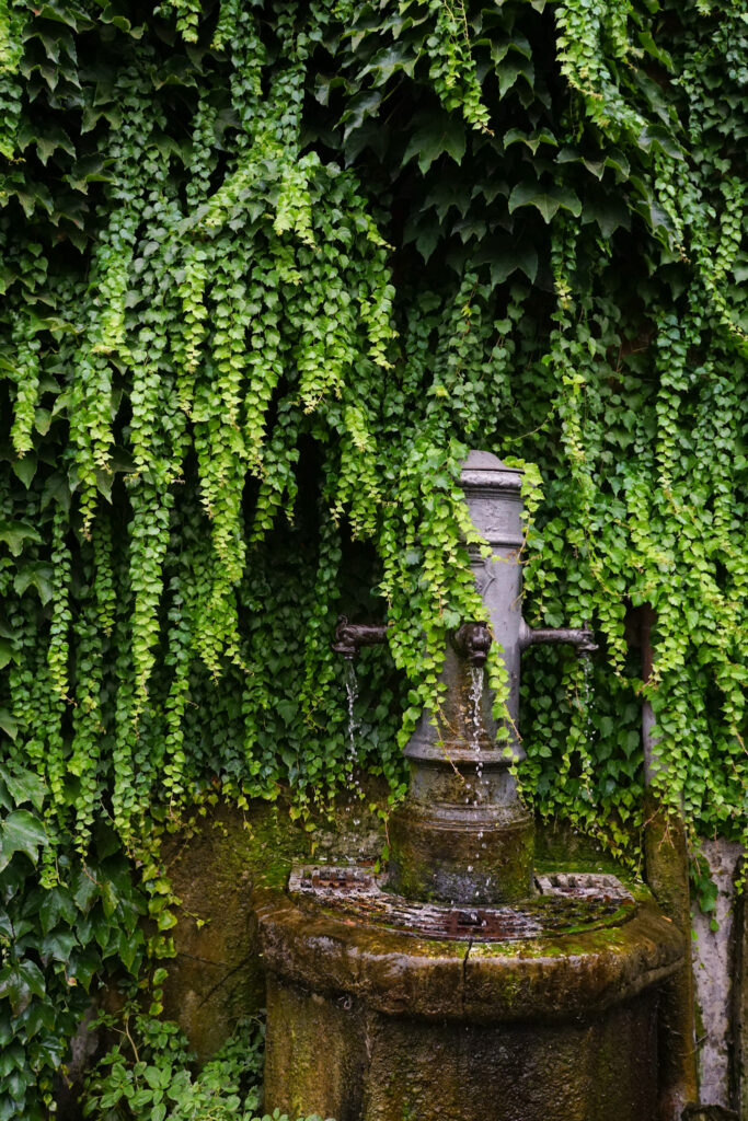 Fountain in Rome