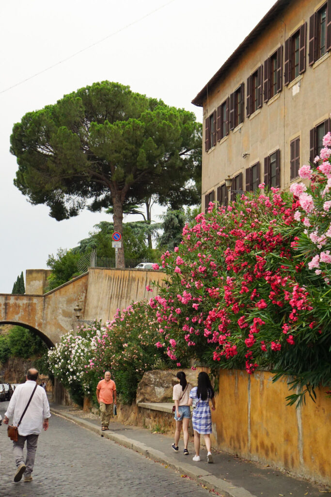 Street in Rome with Beautiful Flowers