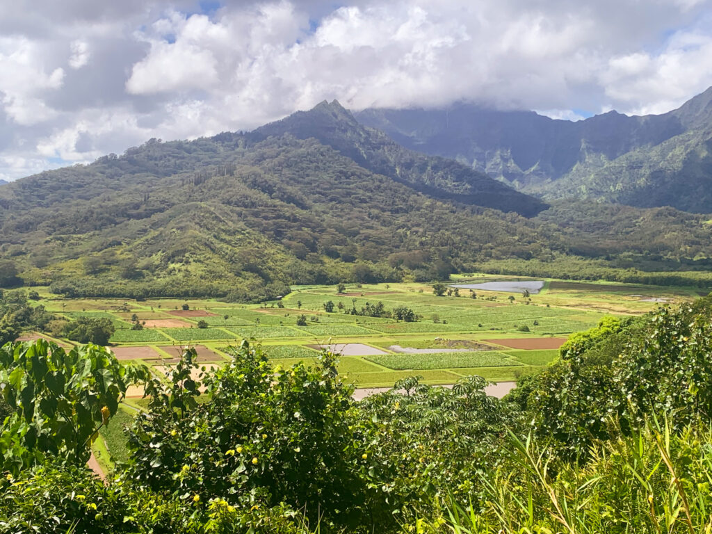 Hanalei Valley Lookout