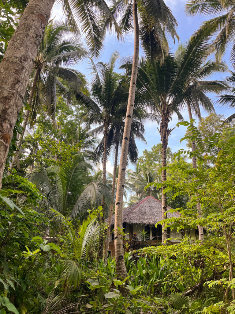 View of an Ecolodge Through Palm Trees