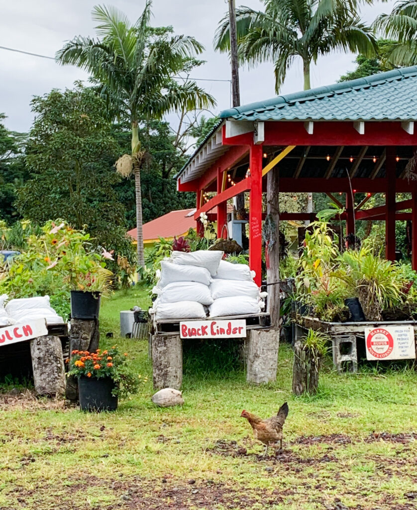 Chicken at a roadside stand on the Big Island