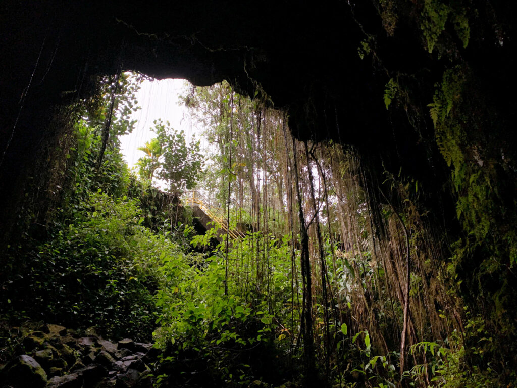 The Mouth of the Kaumana Caves State Park