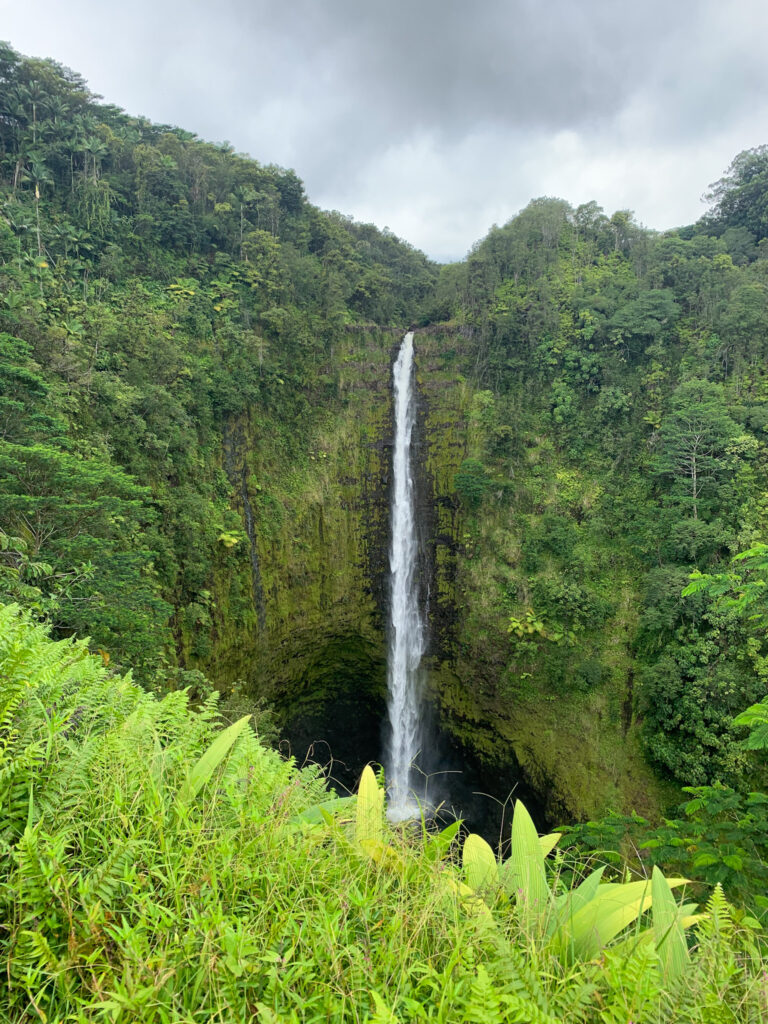 'Akaka Falls State Park