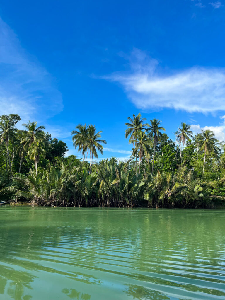 Loboc River Near Loboc Town, Bohol