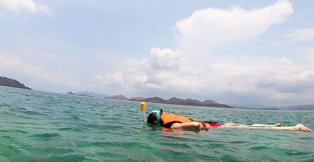 Person Snorkeling in the Ocean
